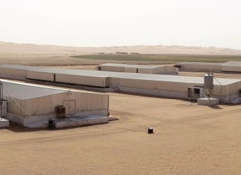 Украинская МХП и саудовская DHV создают СП с инвестициями $53 млн в развитие птицеводства в Саудовской Аравии